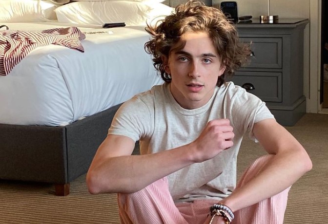 Timothée Chalamet no ha hecho ni una sola audición en siete años